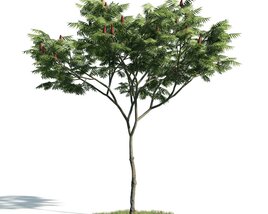 Verdant Tree 03 3D-Modell