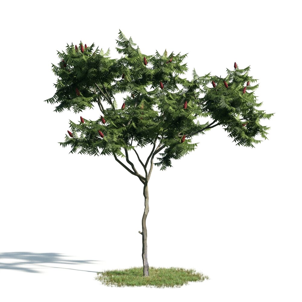 Lush Green Tree Modelo 3d