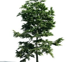 Verdant Green Tree 02 3D model