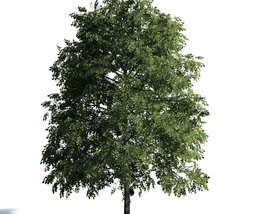 Lone Tree 04 3D-Modell