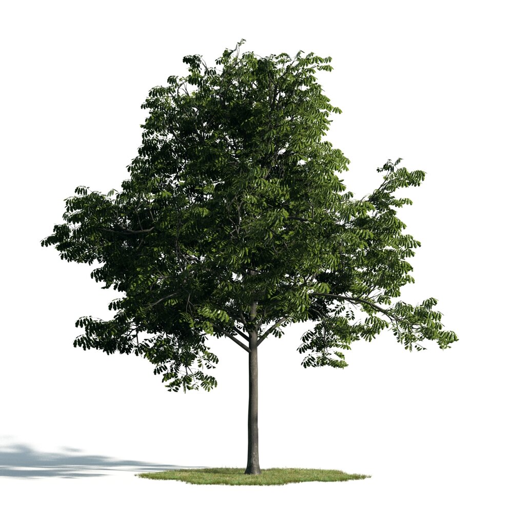 Singular Green Tree 3D-Modell