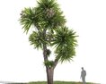 Yuka tree 02 3d model