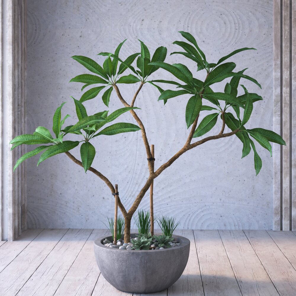 Indoor Potted Plant 05 3D 모델 