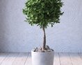 Potted Topiary Tree 02 3d model