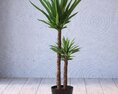 Potted Yucca Plant 3d model
