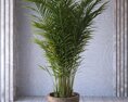Indoor Potted Palm Plant 3Dモデル