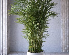 Indoor Potted Palm Plant Modelo 3d