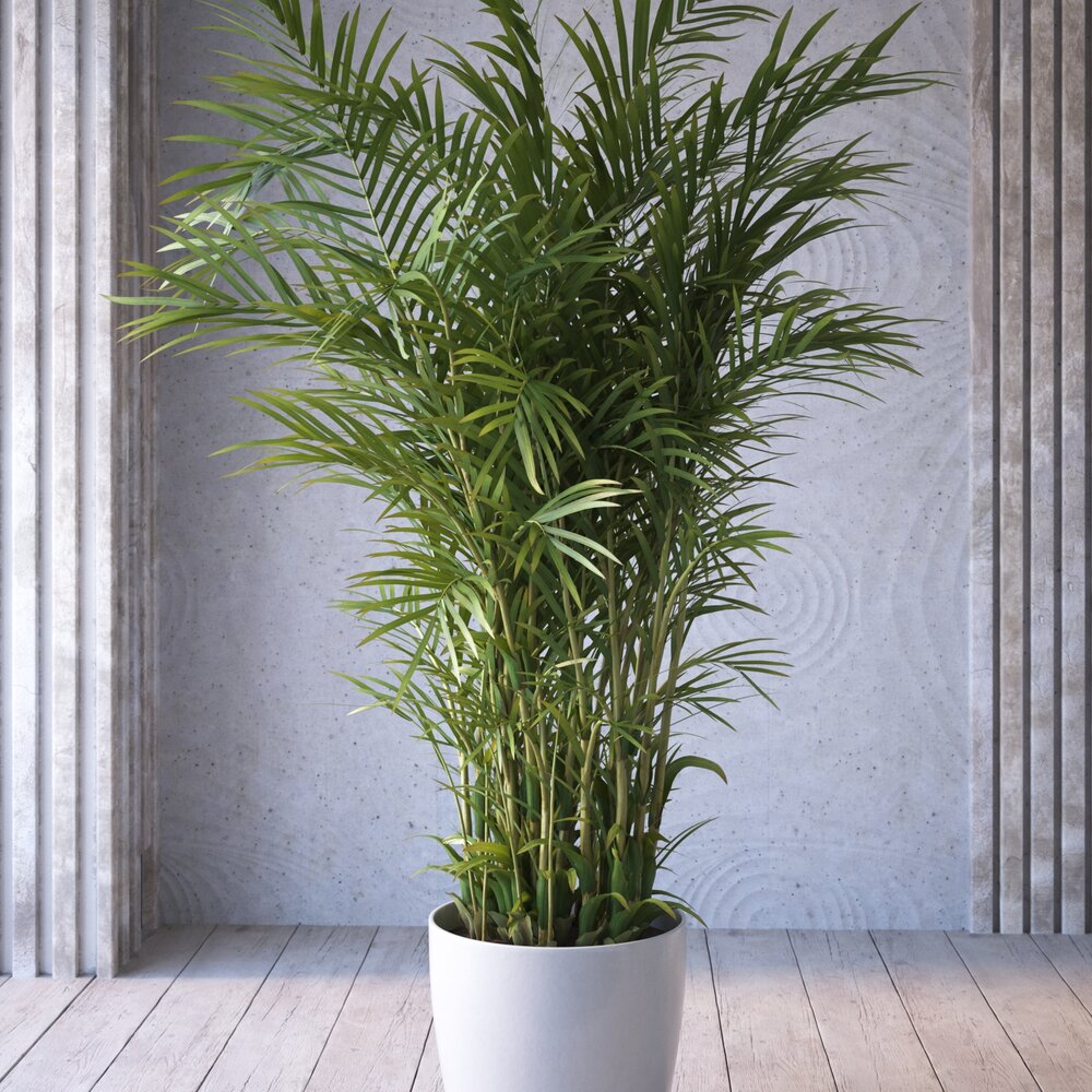 Indoor Potted Palm Plant Modello 3D