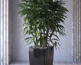 Tropical Houseplant in Modern Planter 3D 모델 