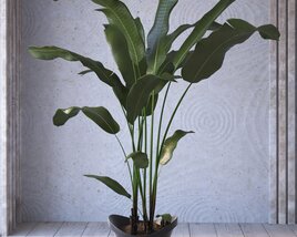 Indoor Potted Plant 03 3D модель
