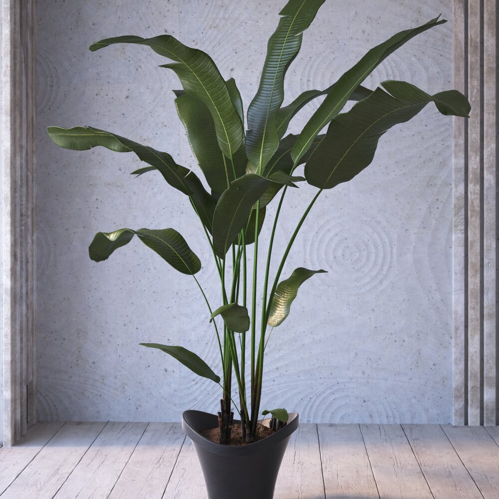 Indoor Potted Plant 03 3D model