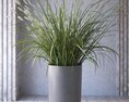 Indoor Potted Plant 02 3D 모델 