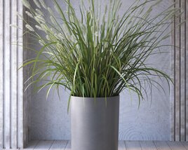 Indoor Potted Plant 02 3D-Modell