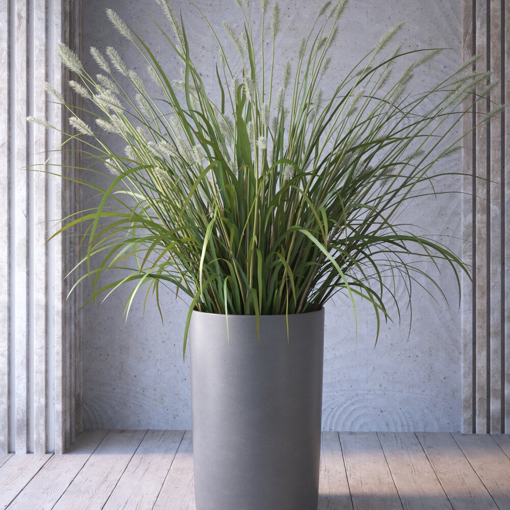 Indoor Potted Plant 02 3D model