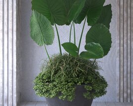 Potted Indoor Plant Modello 3D
