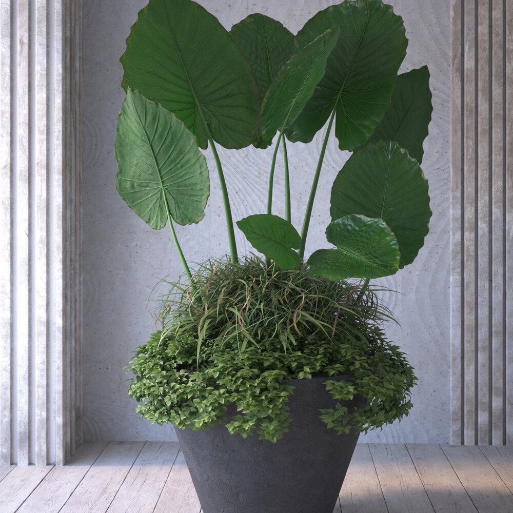 Potted Indoor Plant 3D-Modell