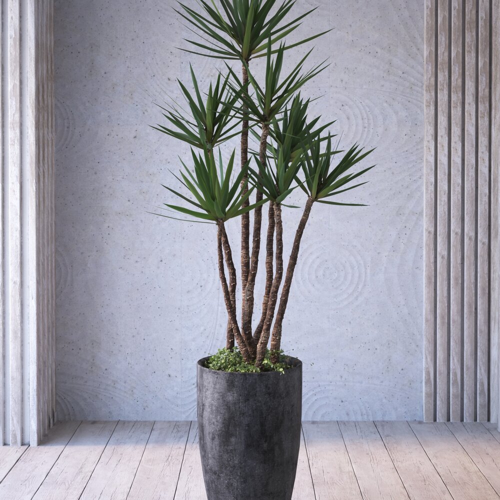 Potted Houseplant 3D-Modell