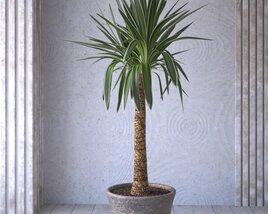 Indoor Potted Palm Tree Modelo 3d