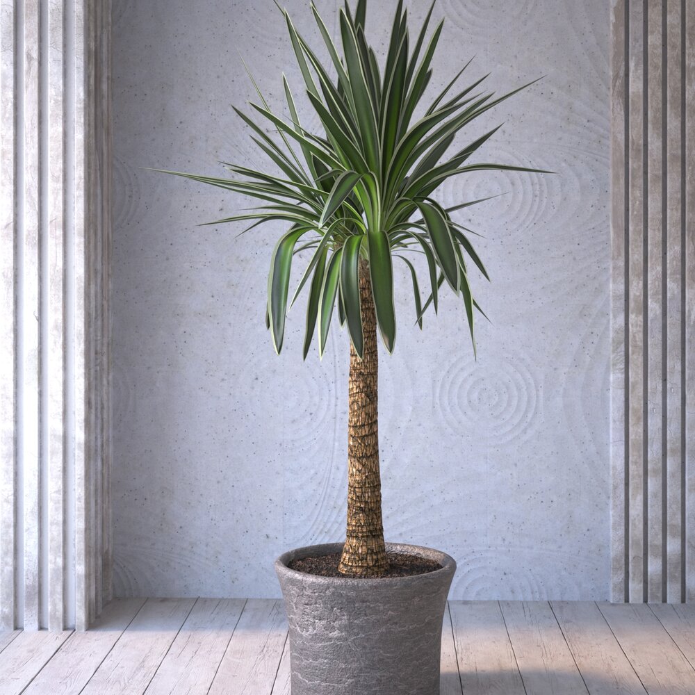 Indoor Potted Palm Tree 3Dモデル