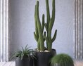 Indoor Cactus in Pot Modèle 3d