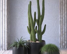 Indoor Cactus in Pot 3D 모델 