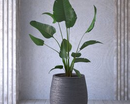 Elegant Indoor Plant Pot 3D модель