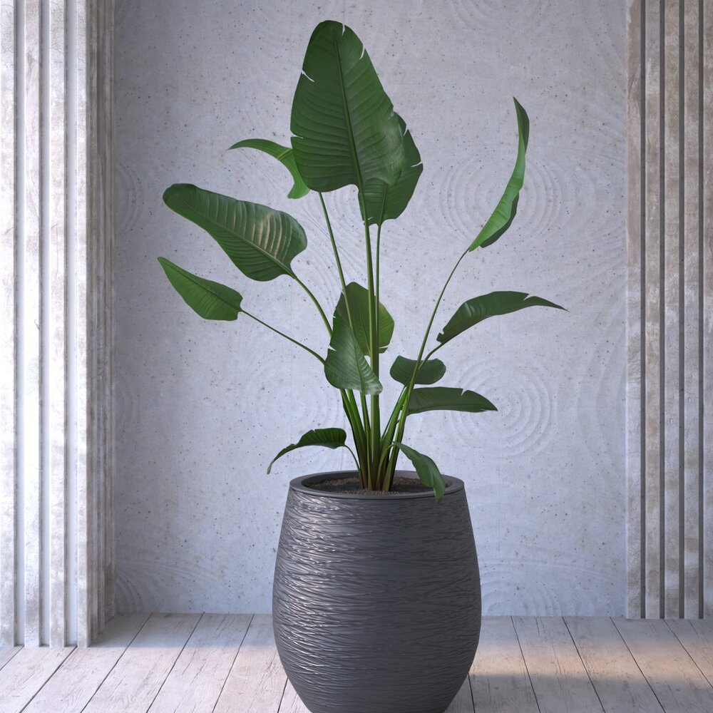Elegant Indoor Plant Pot 3D model