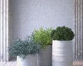Decorative Indoor Plants in White Pots 3D модель