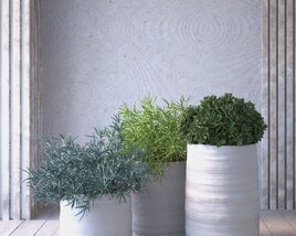 Decorative Indoor Plants in White Pots 3D model