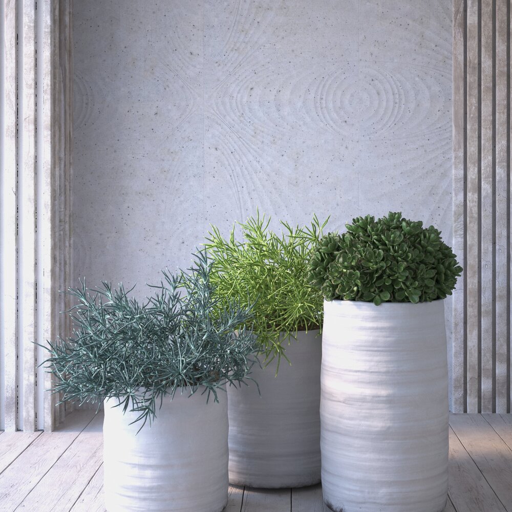 Decorative Indoor Plants in White Pots 3D модель