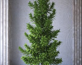 Potted Topiary Tree 3D-Modell