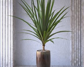 Indoor Potted Plant Modelo 3d