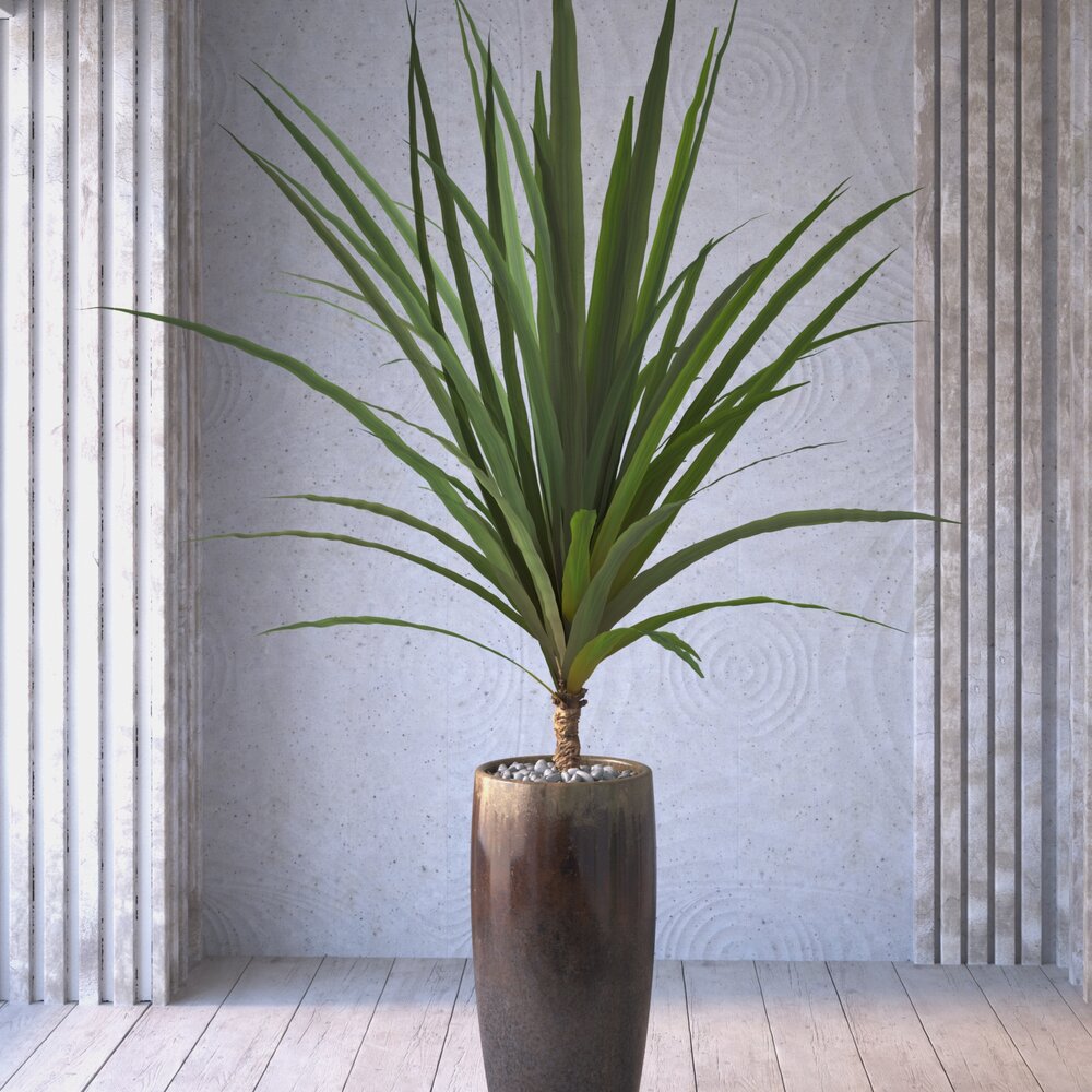 Indoor Potted Plant 3D 모델 