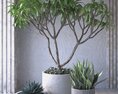 Indoor Plant Oasis 3d model