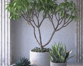 Indoor Plant Oasis Modello 3D