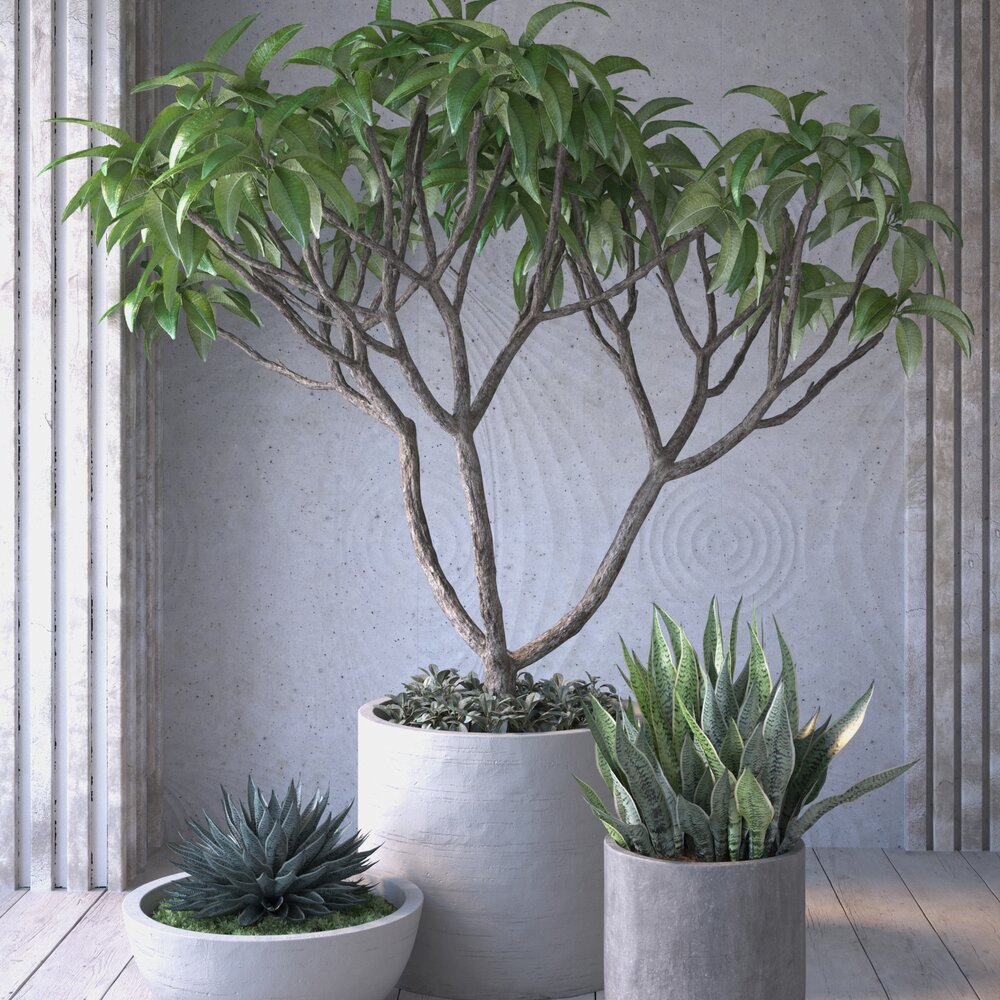 Indoor Plant Oasis 3D 모델 