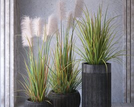 Decorative Indoor Grass Planters Modello 3D