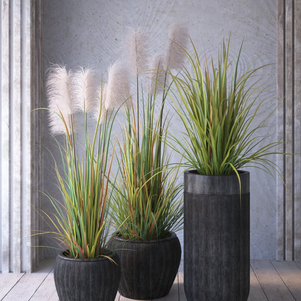 Decorative Indoor Grass Planters Modelo 3d
