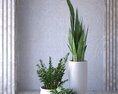 Indoor Plants in Modern Pots Modello 3D
