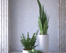 Indoor Plants in Modern Pots Modello 3D