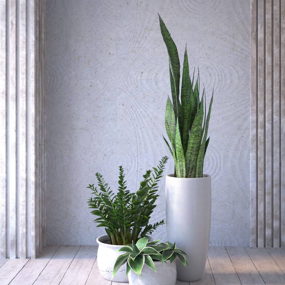Indoor Plants in Modern Pots 3D модель