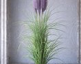 Potted Ornamental Grass 02 3D-Modell