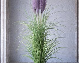 Potted Ornamental Grass 02 3D-Modell