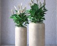 White Blossoms in Stone Vases 3d model