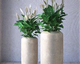 White Blossoms in Stone Vases 3D model