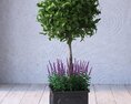 Potted Green Topiary Modelo 3d