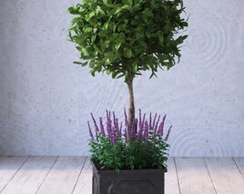 Potted Green Topiary 3D 모델 