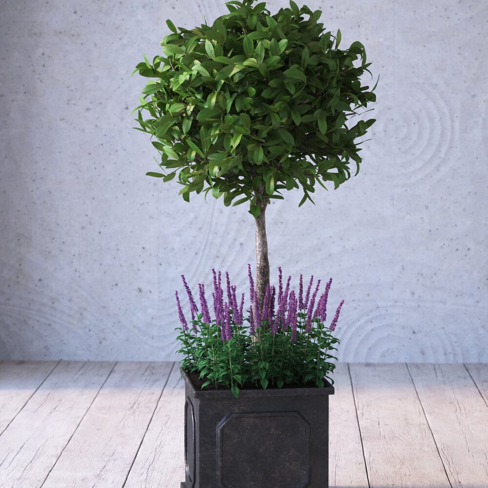 Potted Green Topiary 3D model