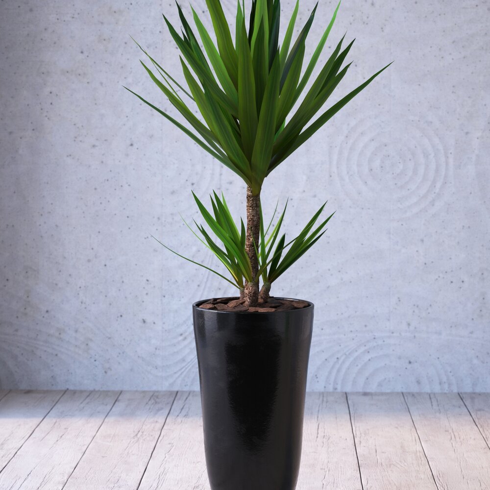 Modern Potted Plant Modello 3D