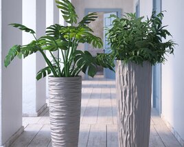 Indoor Plant 04 3D model